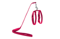 Load image into Gallery viewer, LOCO CAT HARNESS & LEASH