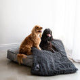 Load image into Gallery viewer, Everlasting Dog Slumber Bed (Black with White Stripes)