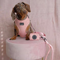 Load image into Gallery viewer, Puppy Pink -Adjustable Harness
