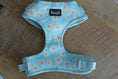 Load image into Gallery viewer, Walking Miss Daisy - Adjustable Harness