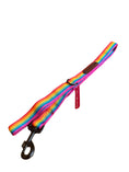 Load image into Gallery viewer, Good Boi Club Rainbow Lead