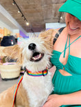 Load image into Gallery viewer, Good Boi Club Rainbow Collar