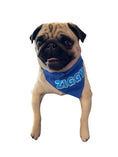 Load image into Gallery viewer, Put Your Pups Name On A Bandana