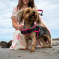 Load image into Gallery viewer, Rogz AirTech Sport Harness Sunset Pink