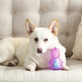 Load image into Gallery viewer, DOG TREAT n SQUEAK UNICORN