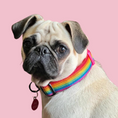 Load image into Gallery viewer, Good Boi Club Rainbow Collar