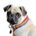 Load image into Gallery viewer, Good Boi Club Rainbow Collar