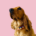 Load image into Gallery viewer, Good Boi Club Rainbow Collar