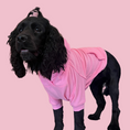 Load image into Gallery viewer, Good Boi Club Candy Floss Hoodie