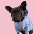 Load image into Gallery viewer, Good Boi Club Baby Blue Hoodie
