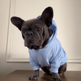Load image into Gallery viewer, Good Boi Club Baby Blue Hoodie