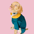 Load image into Gallery viewer, Good Boi Club Bokke Rugby Jersey