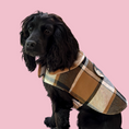 Load image into Gallery viewer, Good Boi Club Brown Coat