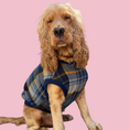 Load image into Gallery viewer, Plaid Pooch Sleeveless Jumper (Navy)