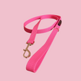 Load image into Gallery viewer, Good Boi Club Electric Pink Lead
