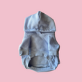 Load image into Gallery viewer, Good Boi Club Baby Blue Hoodie