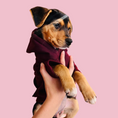 Load image into Gallery viewer, Good Boi Club Maroon Hoodie