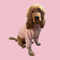 Load image into Gallery viewer, Good Boi Club Peach Cozy Canine Sweater