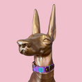 Load image into Gallery viewer, Good Boi Club Pink Lux Life Collar