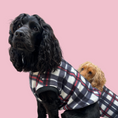 Load image into Gallery viewer, Plaid Pooch Sleeveless Jumper (Black & White)