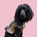 Load image into Gallery viewer, Plaid Pooch Sleeveless Jumper (Brown)