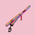 Load image into Gallery viewer, Good Boi Club Rainbow Lead