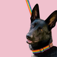 Load image into Gallery viewer, Good Boi Club Rainbow Lead
