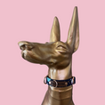 Load image into Gallery viewer, Good Boi Club Space Puppy Lux Collar