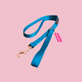 Load image into Gallery viewer, Good Boi Club Teal Lead