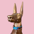 Load image into Gallery viewer, Good Boi Club Teal Lux Life Collar