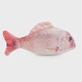 Load image into Gallery viewer, Natural Catnip Red Snapper Cat Toy
