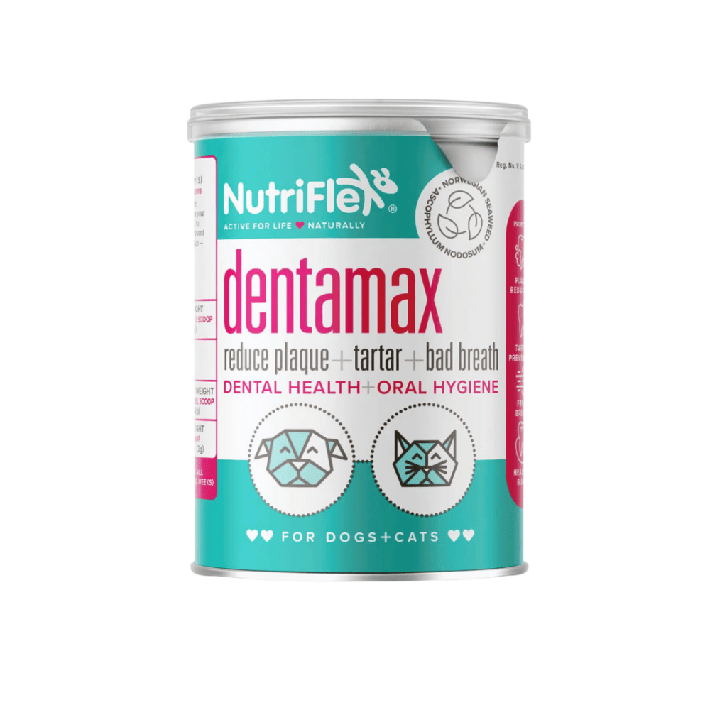 DentaMax Dental Powder for Dogs & Cats-
