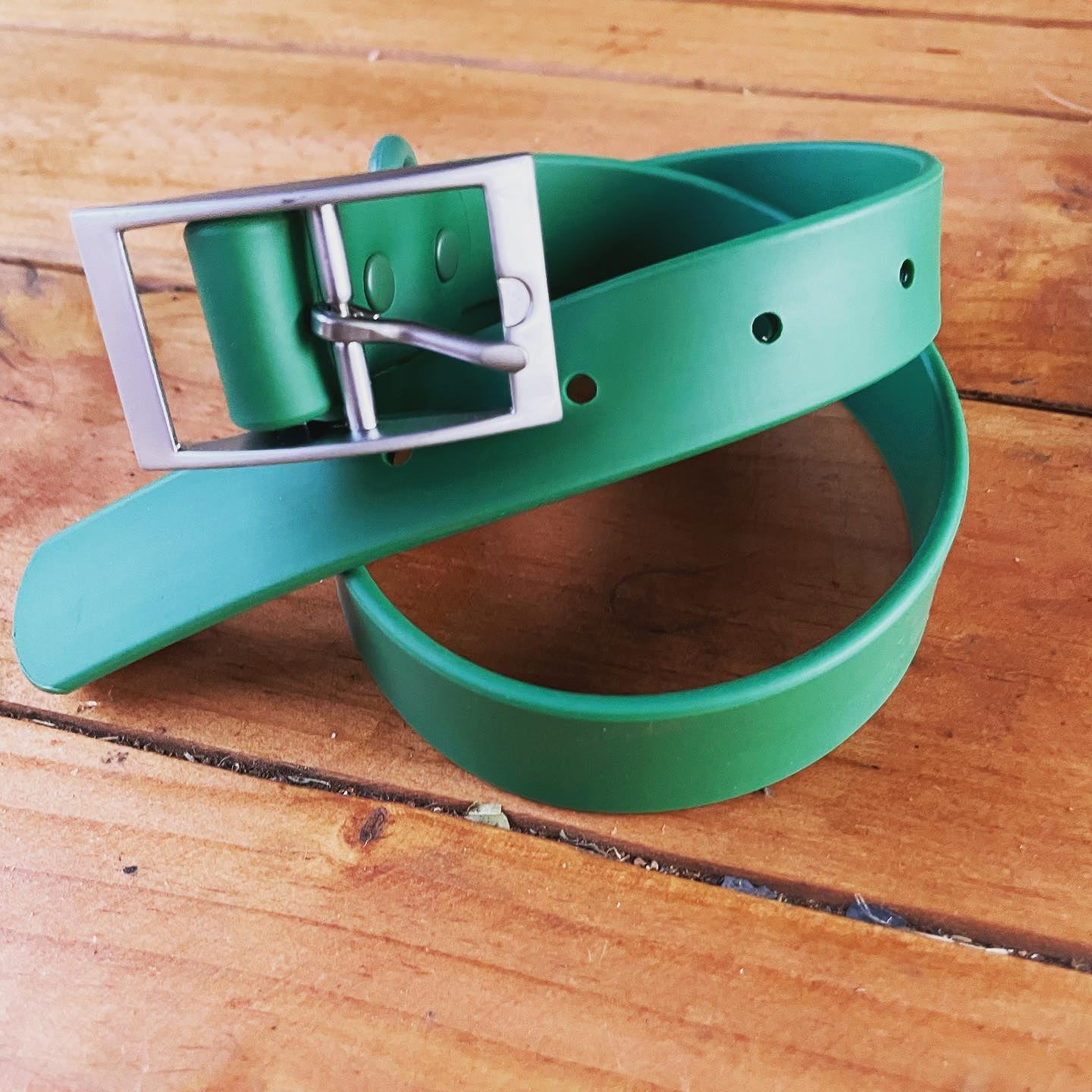 Pet Haus  Biothane Collar Green