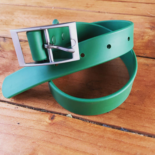 Pet Haus  Biothane Collar Green