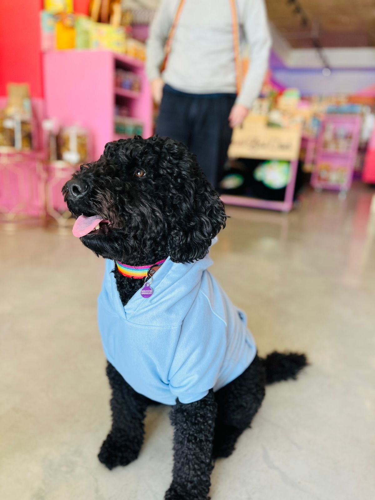 Good Boi Club Baby Blue Hoodie