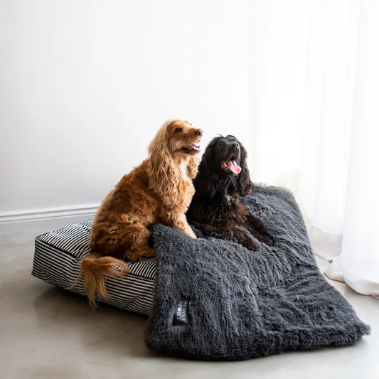 Everlasting Dog Slumber Bed (Black with White Stripes)