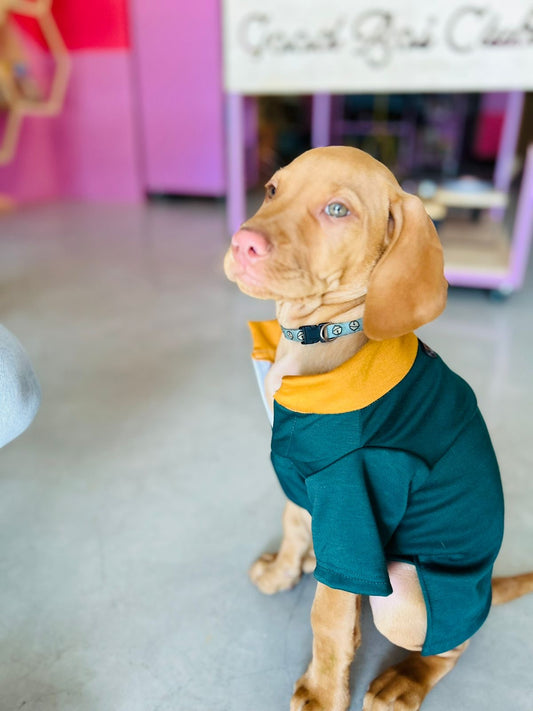 Good Boi Club Bokke Rugby Jersey