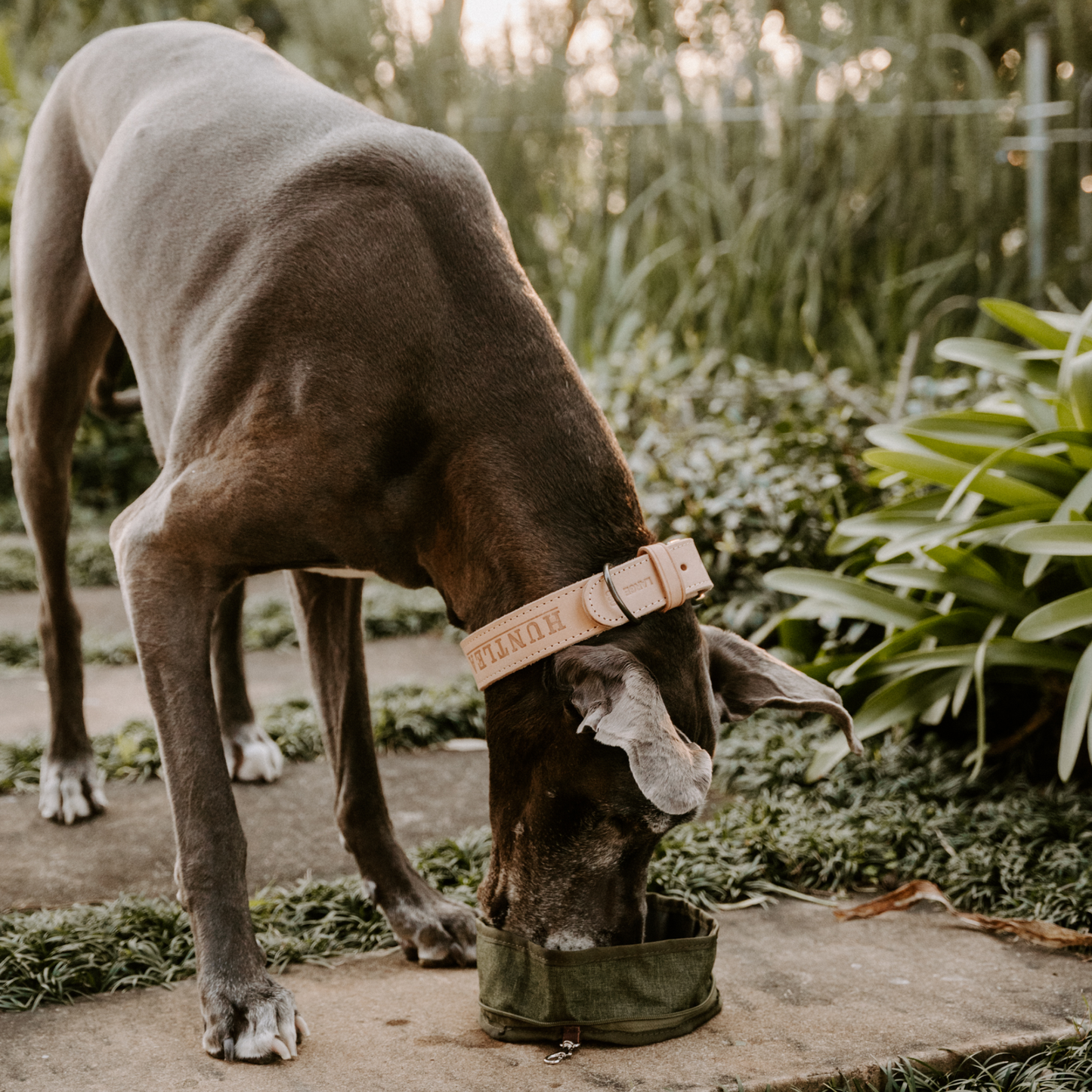 Huntlea Adventure Water & Food Bowl