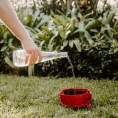 Huntlea Adventure Water & Food Bowl