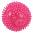 Load image into Gallery viewer, Pig Ball Blue

