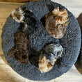 Load image into Gallery viewer, Calming Donut Dog Bed Charcoal Black
