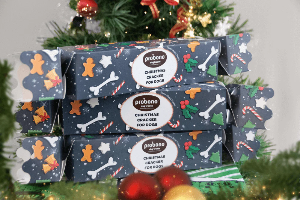 Probono Semi Moist Christmas Crackers Dog Treats