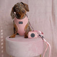 Load image into Gallery viewer, Puppy Pink -Adjustable Harness
