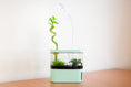 Load image into Gallery viewer, ECOFLAURA PICO SERIES  FISH TANK
