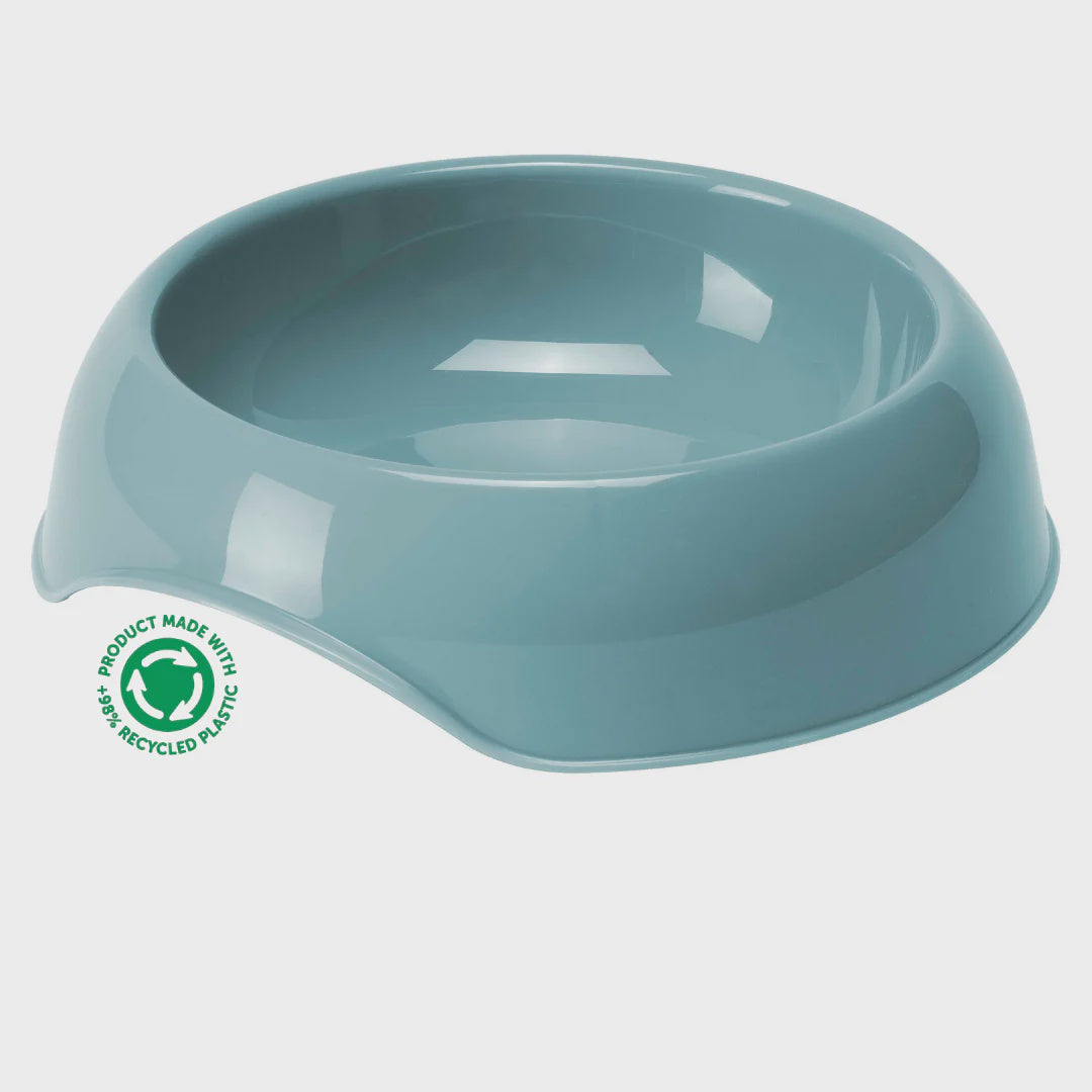 Gusto Cat/ Dog Bowl Aquarelle