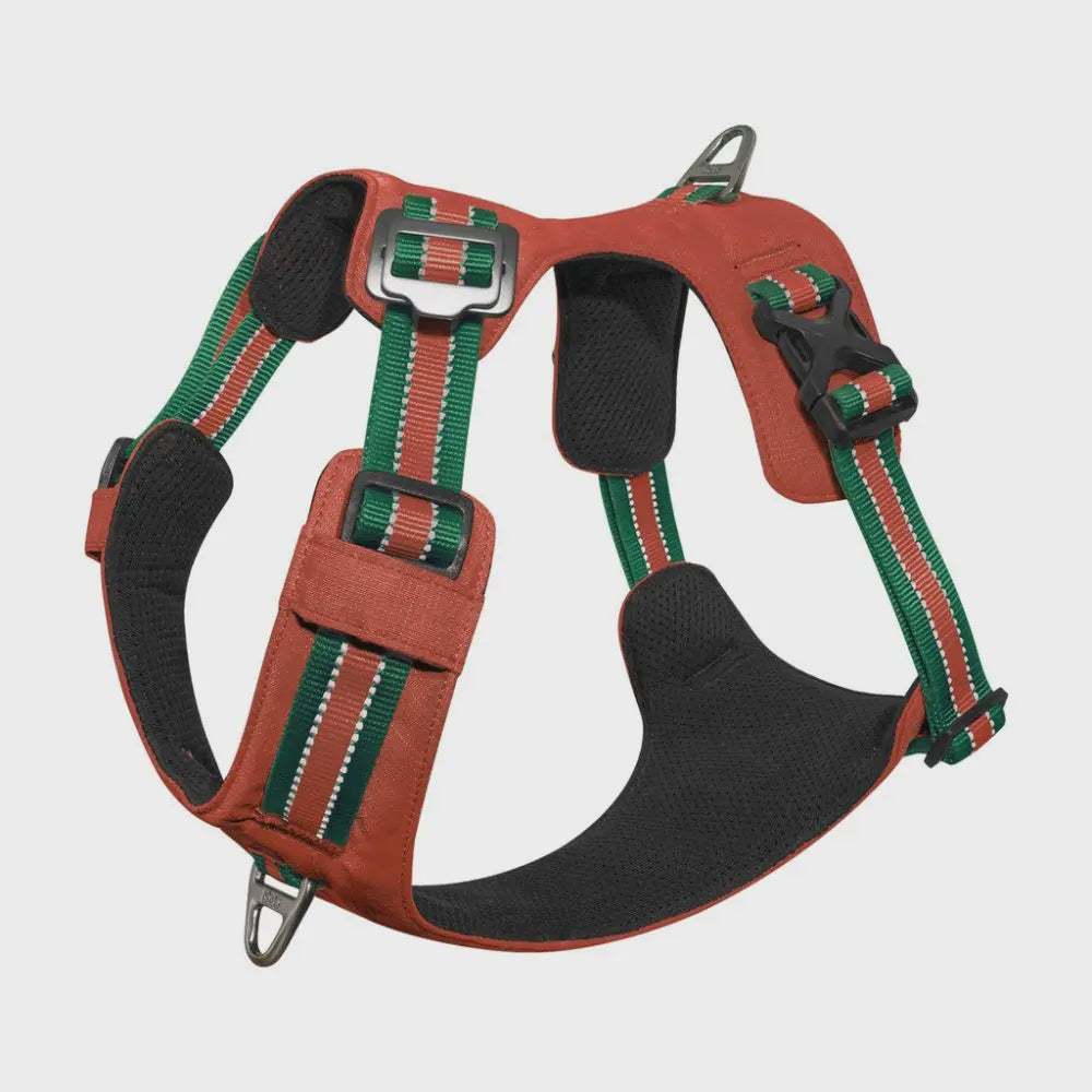 Vertex Dog Harness Canyon