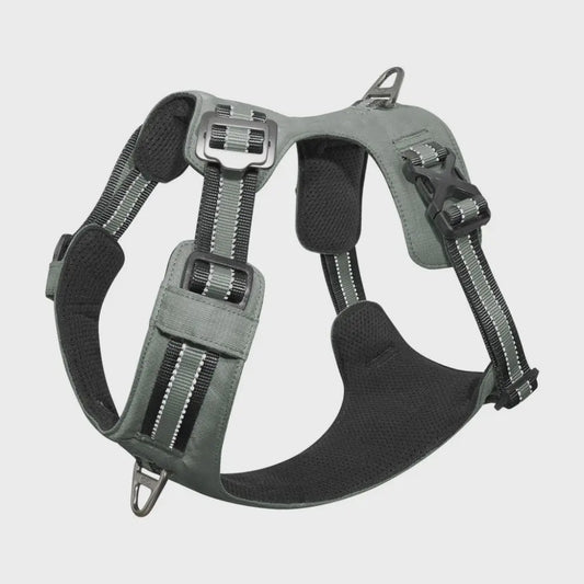 Vertex Dog Harness Iceland