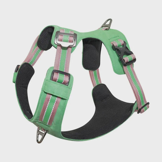 Vertex Dog Harness Salt-Lake