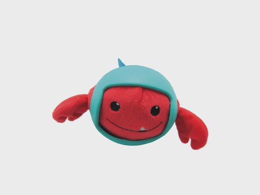 Helmet Head Lobster