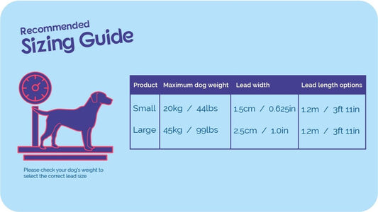 Halti Essential Lead Black (small)